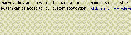 hwc_web007019.jpg